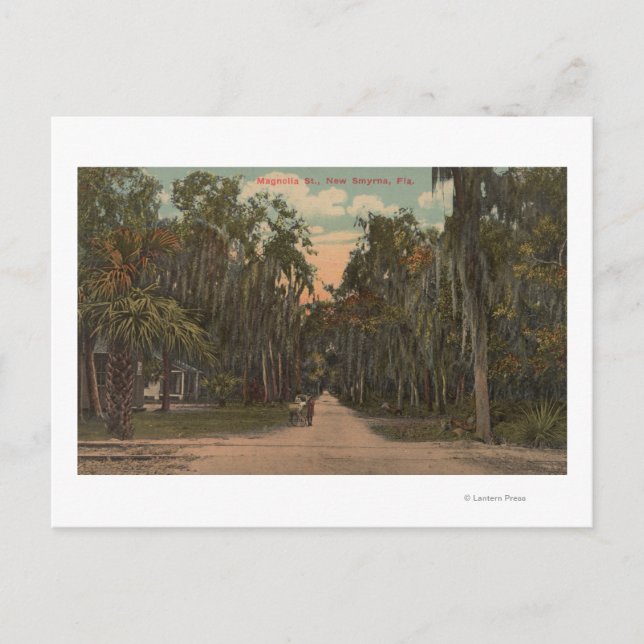 Cartão Postal New Smyrna, Florida - View of Magnolia (Frente)