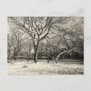 Cartão Postal New York Winter - East Village Snow