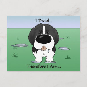 Cartão Postal Newfie (Landseer) - I Drool