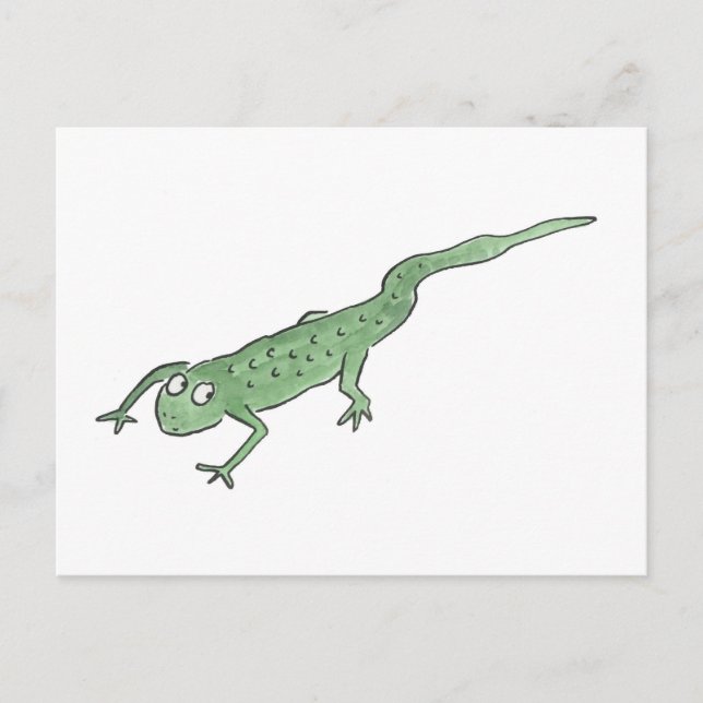 Cartão Postal Newt (Frente)