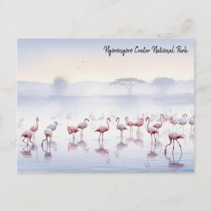 Cartão Postal Ngorongoro Tanzania Flamingos