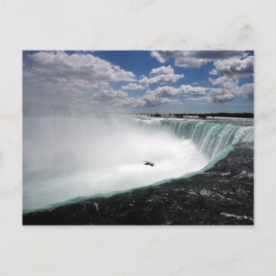 Cartão Postal Niagara Cai com Seagull