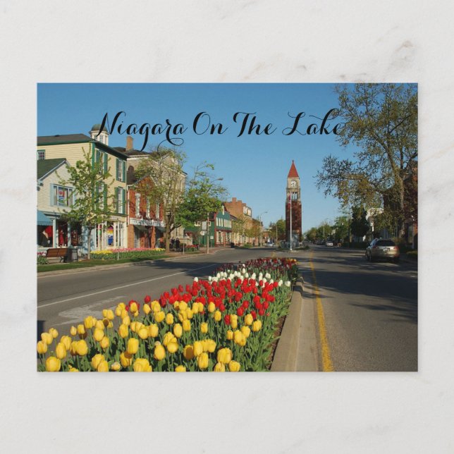 CARTÃO POSTAL NIAGARA FALLS (Frente)