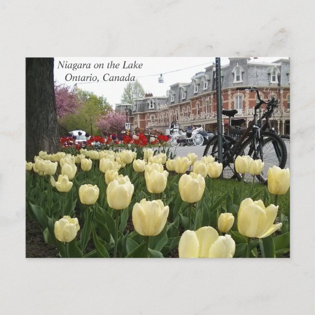 Cartão Postal Niagara no lago (Frente)