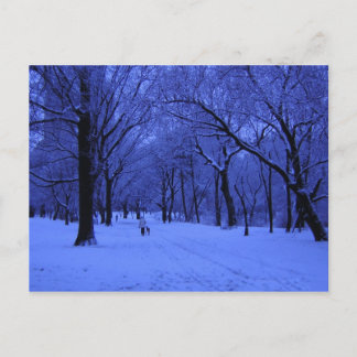 CARTÃO POSTAL NICE WALK