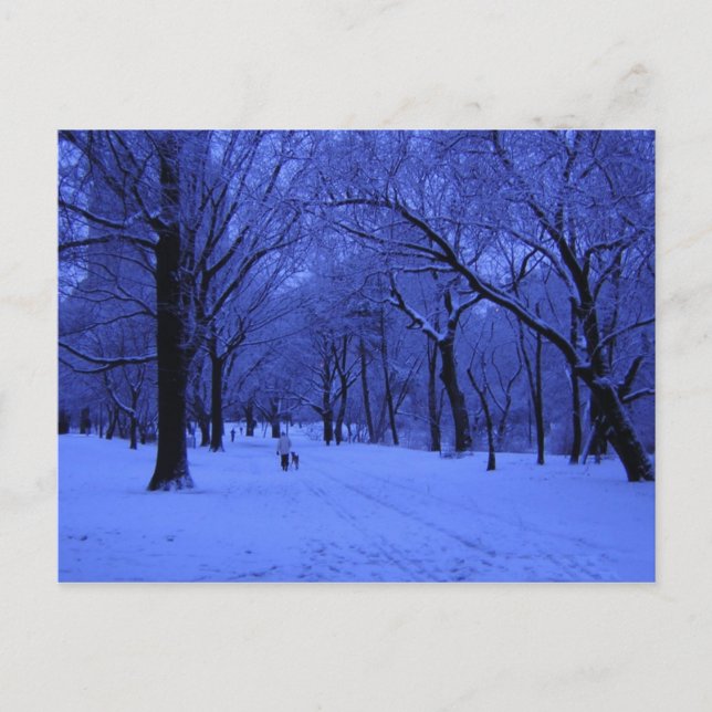 CARTÃO POSTAL NICE WALK (Frente)