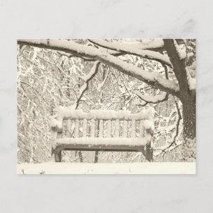 Cartão Postal Nichols Arboretum