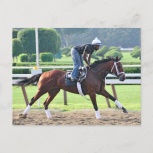 Cartão Postal Nick Bush e Todd Pletcher Workouts