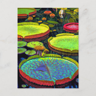 Cartão postal Ninfhaeales