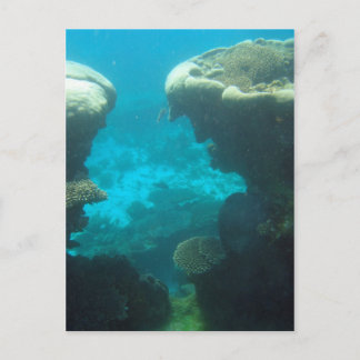 Cartão Postal Ningaloo Reef