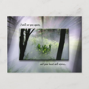 Cartão Postal Ninguém Levará Sua Alegria