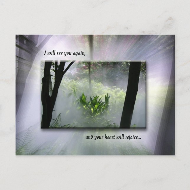 Cartão Postal Ninguém Levará Sua Alegria (Frente)