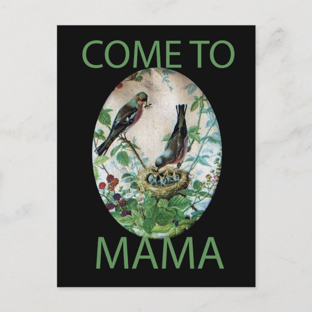 Cartão Postal Ninho da Alegria: Amor Jovem Espirituoso da Famíli (Frente)