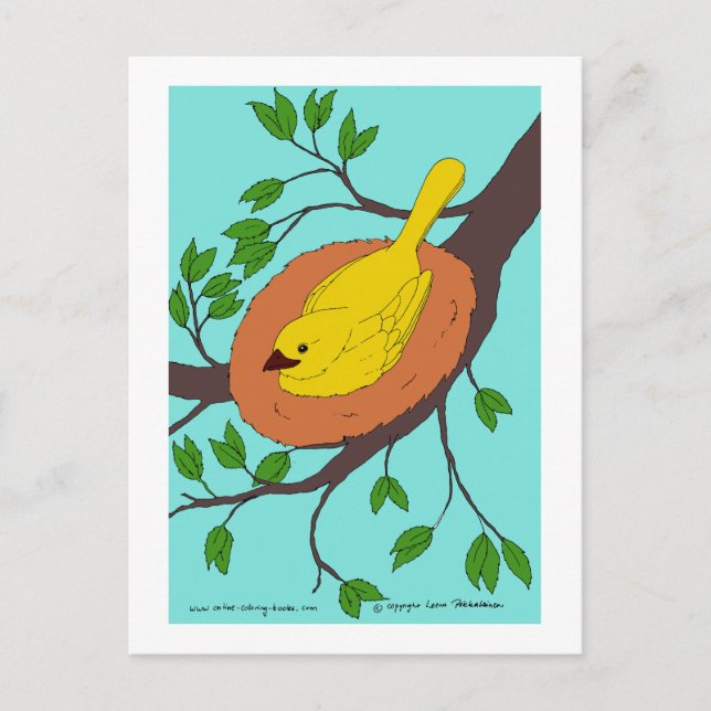 Cartão Postal Ninho de Pássaro Amarelo (Frente)