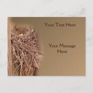 Cartão Postal Ninho De Pássaro Na Natureza Da Cerca