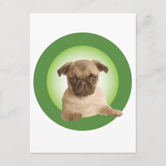 CARTÃO POSTAL NIPRA ROUPA (Frente)