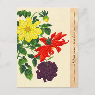 Cartão Postal Nishimura Hodo Dahlias - flores orientais do japon
