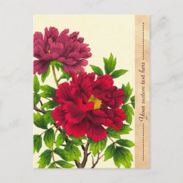 Cartão Postal Nishimura Hodo Peony japonês flores finas
