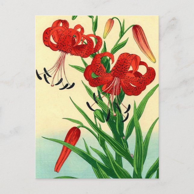 Cartão Postal Nishimura Hodo Tiger Lily Shin Hanga Flowers (Frente)