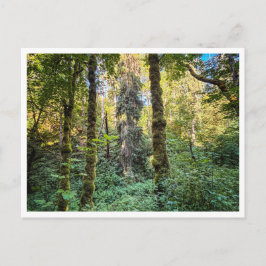 Cartão Postal No caminho