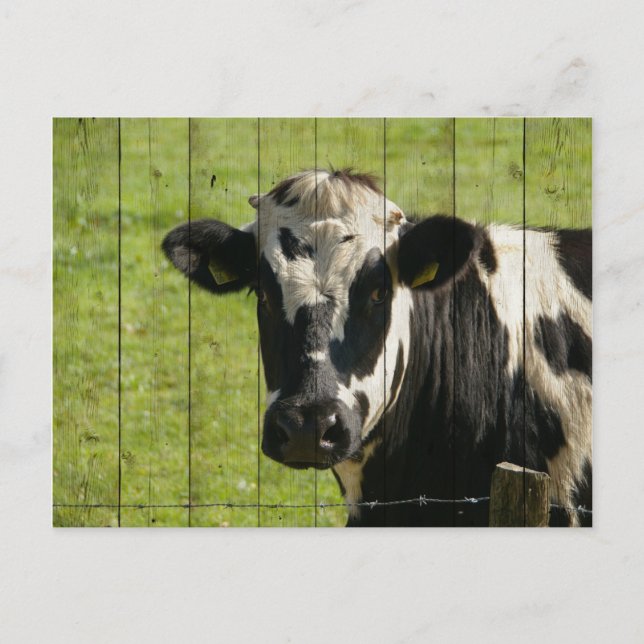CARTÃO POSTAL NO CAMPO... (Frente)