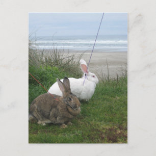 Cartão Postal No Cartão-postal da praia