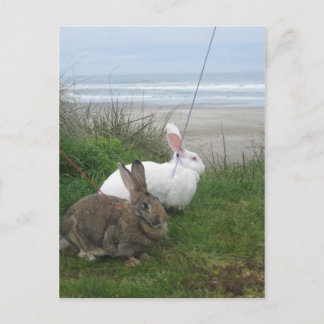 Cartão Postal No Cartão-postal da praia