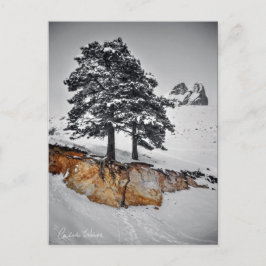 Cartão Postal No entanto cresce