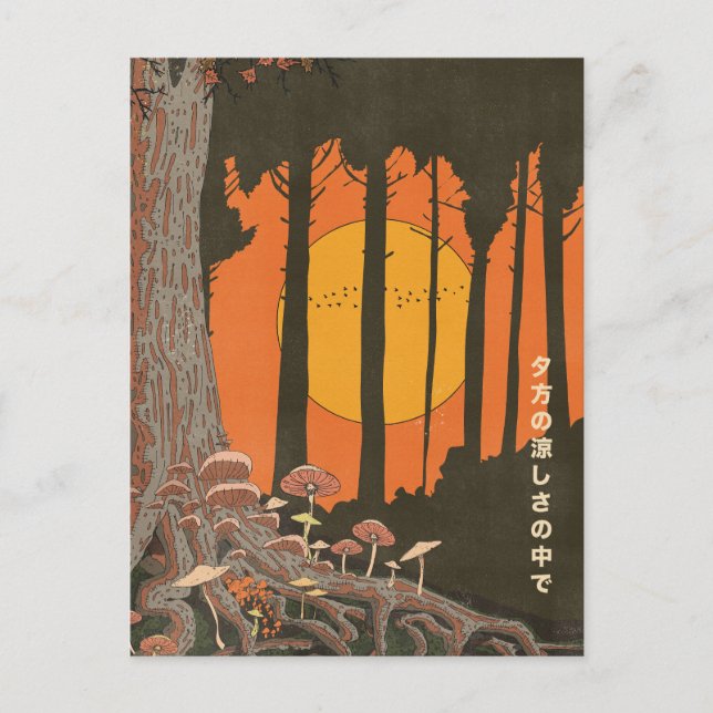 Cartão Postal No frescor da noite (Frente)