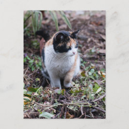 Cartão Postal No jardim - Cartão-postal