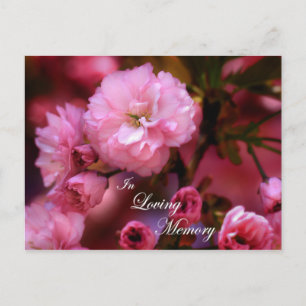 Cartão Postal No Loving Memory Primavera Pink Cherry Blossoms