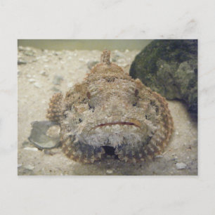 Cartão postal no Mar do Alabama nº 3