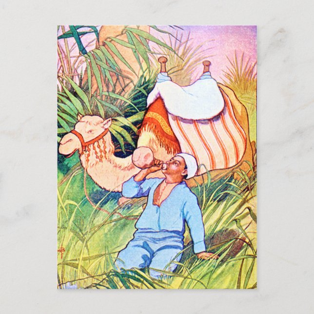 Cartão Postal No Oasis (Frente)