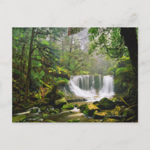 Cartão Postal no Parque Nacional Monte Campo