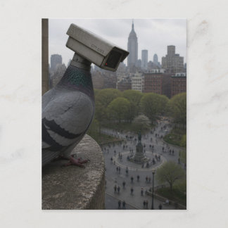 Cartão Postal no parque Um pombo de câmera de vigilância surreal