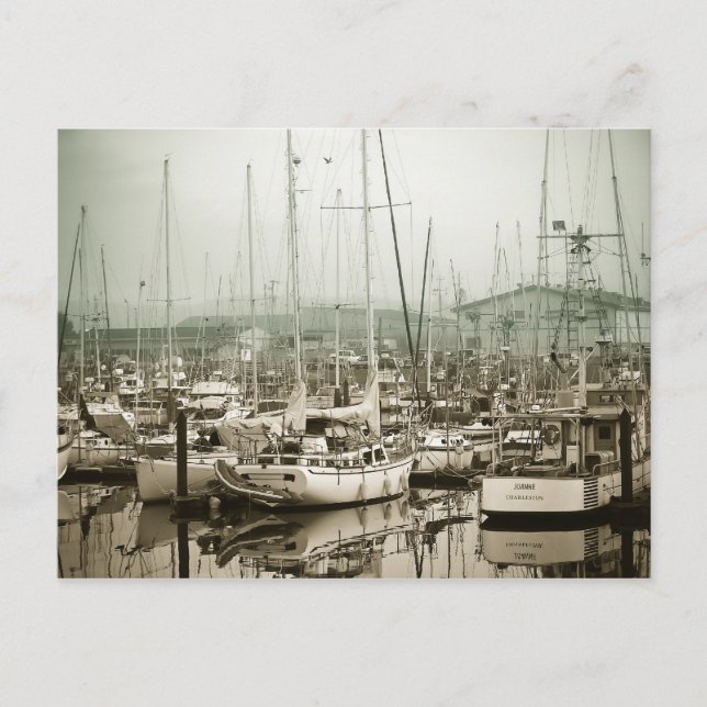 Cartão Postal No Porto (Frente)