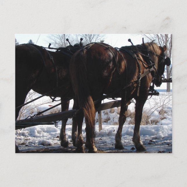 Cartão Postal No Posto Hitching (Frente)