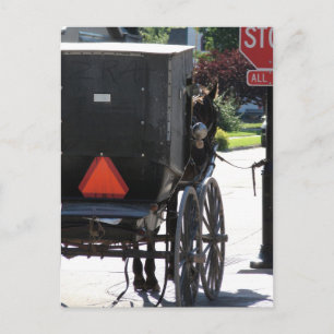 Cartão Postal No Sinal de Parada, Um cavalo de amish