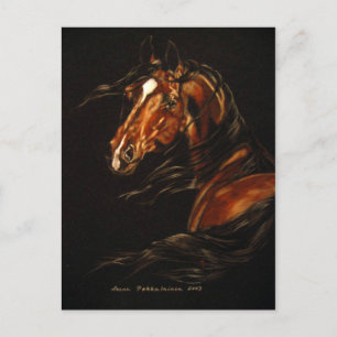 Cartão Postal No vento