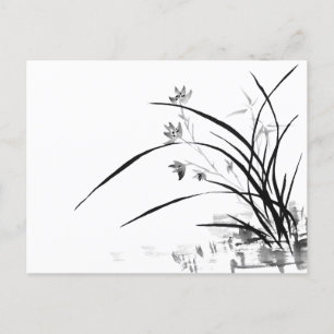 Cartão Postal Noção Orquídea