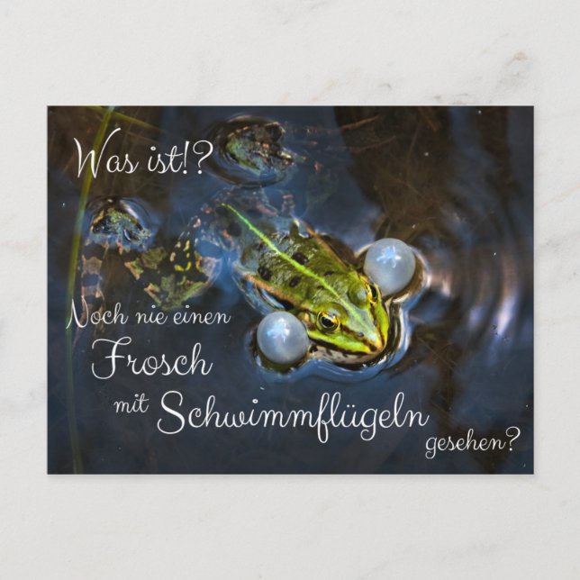 Cartão Postal Noch nie einen Frosch mit Schwimmflügeln gesehen? (Frente)