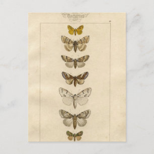 Cartão postal Nocturnes