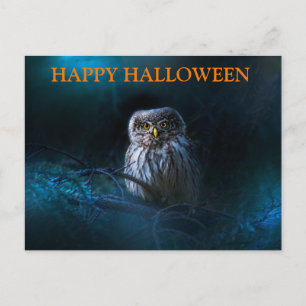 Cartão Postal Noite Assustadora de Halloween com Corujas