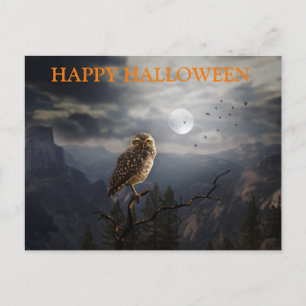 Cartão Postal Noite Assustadora de Halloween com Corujas