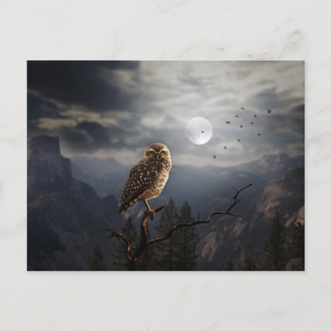 Cartão Postal Noite Assustadora do Halloween (Frente)