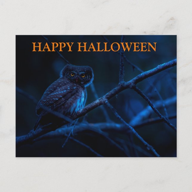 Cartão Postal Noite Assustadora do Halloween com Carteira (Frente)
