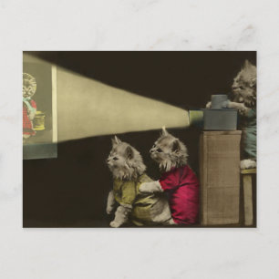 Cartão Postal Noite de Filme