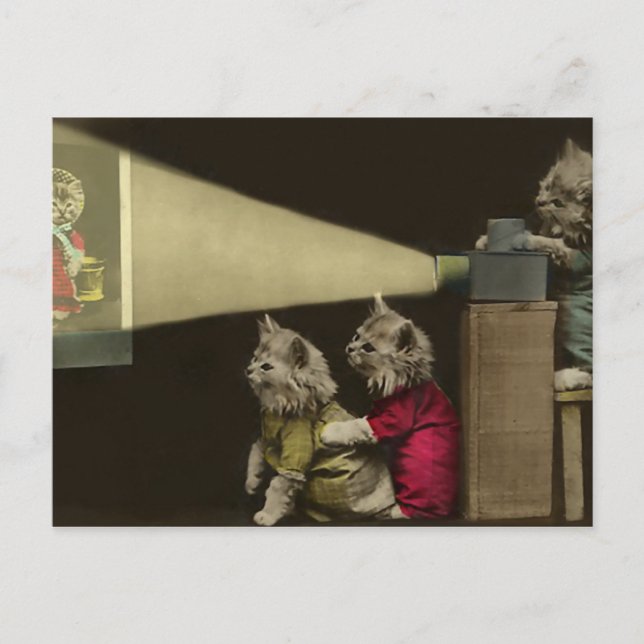 Cartão Postal Noite de Filme (Frente)