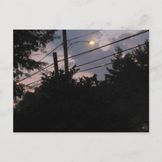 Cartão Postal Noite de Silhouettes