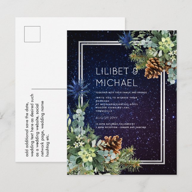 Cartão Postal Noite estelar Eucalyptus Blue Thistle Winter (Frente/Verso)